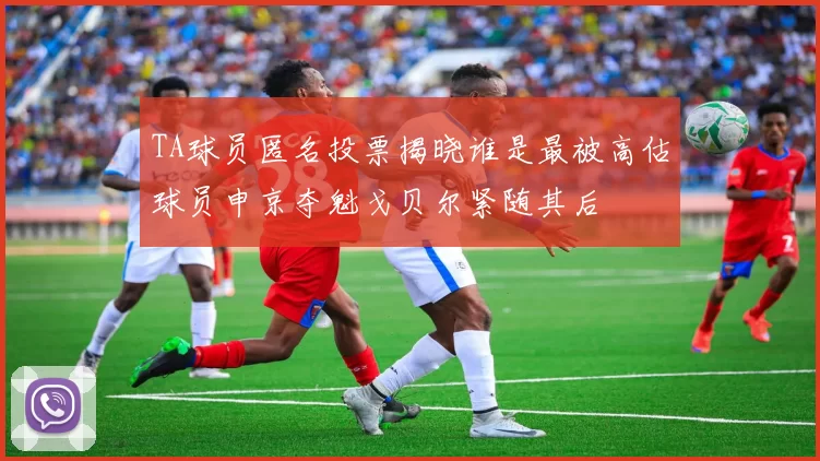 TA球员匿名投票揭晓谁是最被高估球员申京夺魁戈贝尔紧随其后